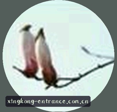 李姐
